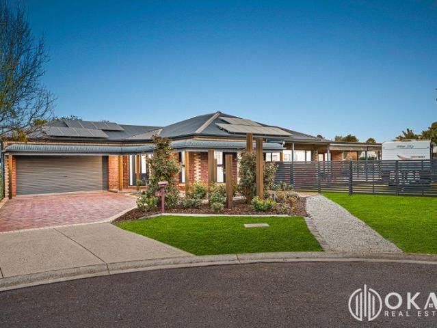 Stunner with North East frontage / 1000sqm Land / Display Quality Interior