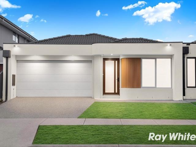 Stunning 4 Bedroom Family Home Brand New !