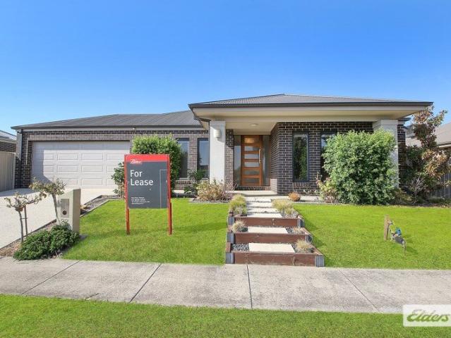 Stunning 4 Bedroom Home in Whitebox Rise