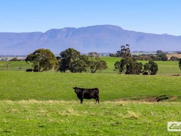 Stunning 160 Acre Lifestyle or Farming Property Grampians Views