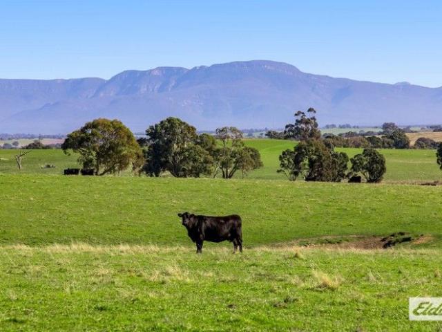 Stunning 160 Acre Lifestyle or Farming Property Grampians Views
