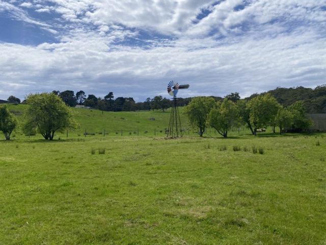 Stunning 2.5 Acres with Endless Potential