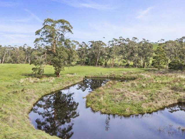 STUNNING SCOTTS CREEK CAMPING ACREAGE