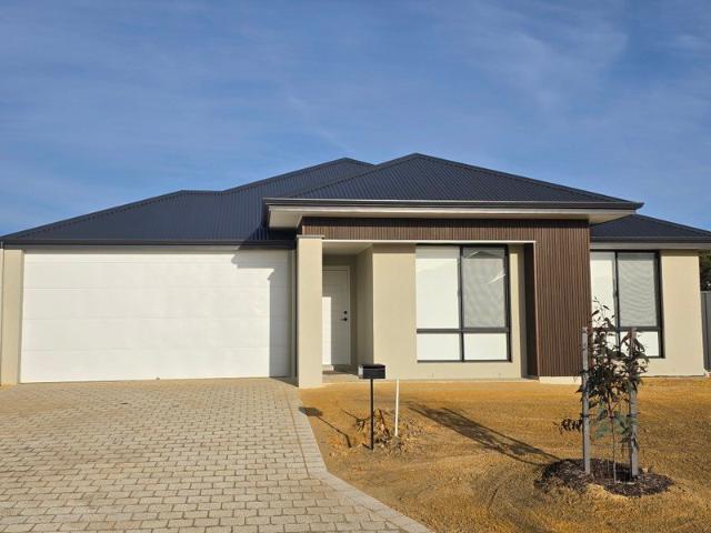 Stunning & Versatile Family Home 3 4 Bedroom + Study with Premium Upgrades
