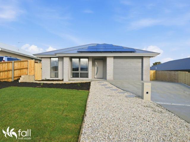 Stunning and Brand New!