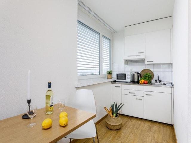 Stunning Apartment in Zurich Oerlikon – Fully Furnished & Well Connected, Zurich Amsterdam Apartments for Rent