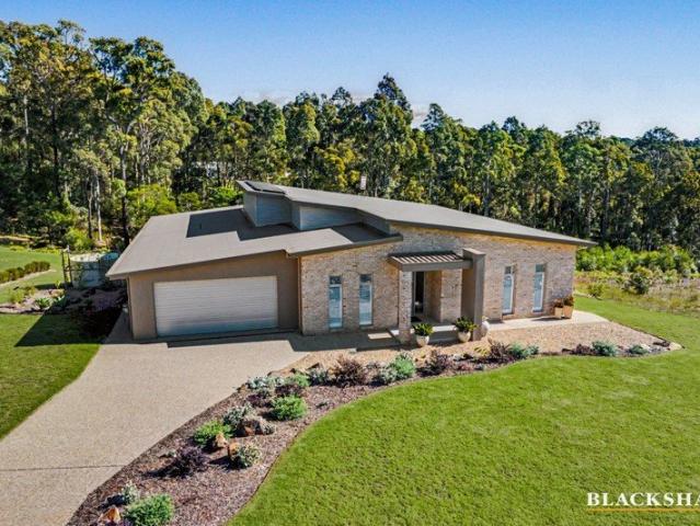 Stunning contemporary home with sunny northerly aspect