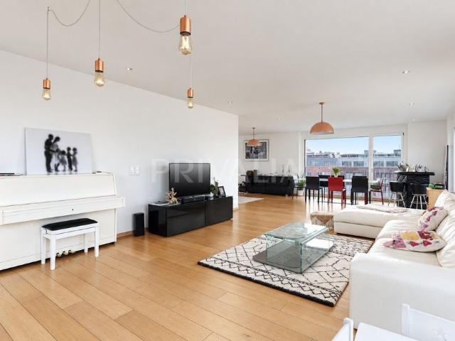 Stunning contemporary penthouse with a terrace
