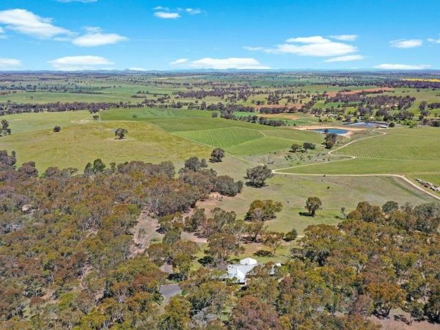 Stunning Elevated Bush Holding with Magical Views of the Rolling Hills & Vineyards
