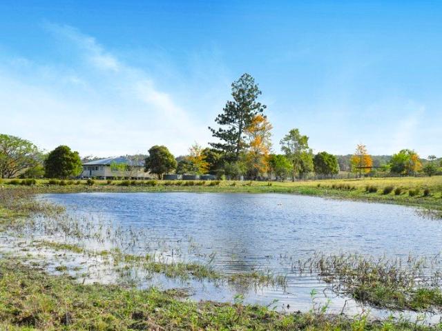 Stunning Equine Property located in the Scenic Rim