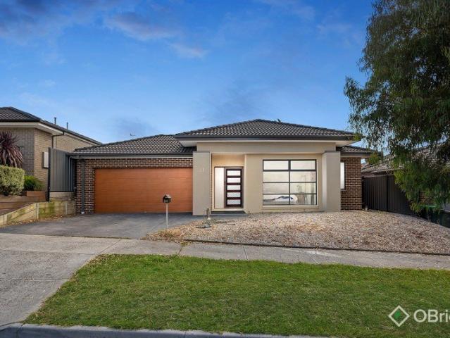 Stunning Family Home