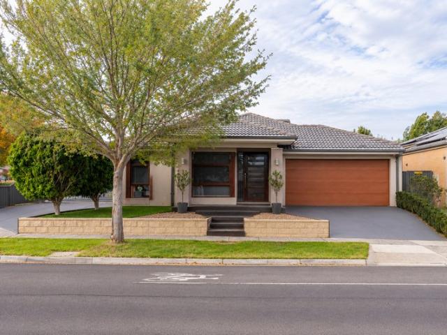 Stunning Family Home ! 2 Living & Study ! 4 Parking !
