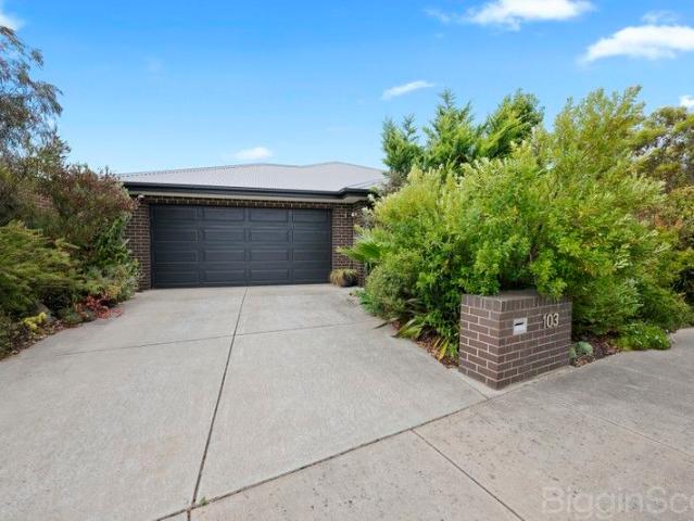 Stunning Family Home with Outdoor Oasis in Lucas