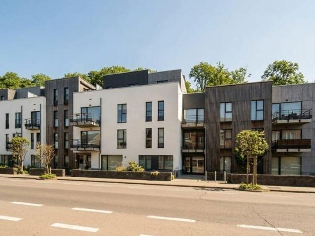 Stunning FLAT 1 bedroom/1 bathroom