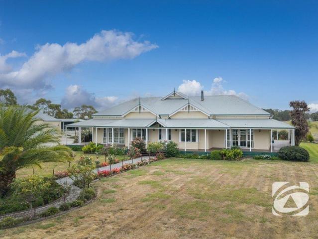 Stunning Harkaway Home with Superior Shedding