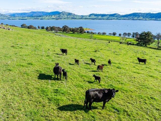 Stunning Lake Hume Views