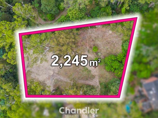 Stunning Large ½ Acre Plus Block