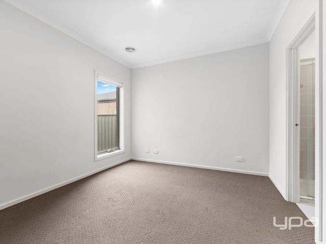 Stunning Modern Living in the Growing Suburb of Harkness