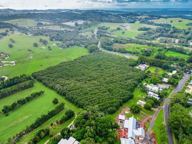 Stunning parcel of land rarely found in Byron's tightly held hinterland