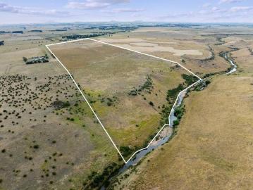 Stunning Pastoral Holding 34.38 Ha approx. 85 Acres of Chemical Free Farmland