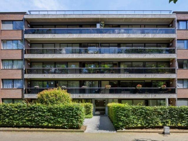 Stunning penthouse surrounded by 145m² terrace