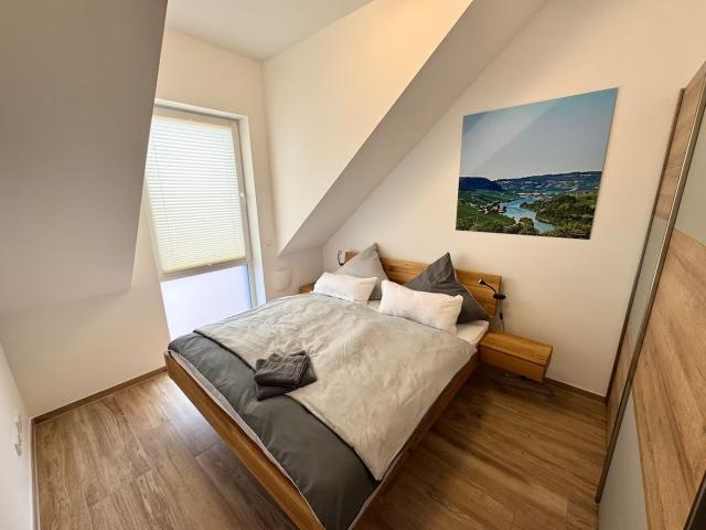 Stunning Penthouse with Roof Terrace and Saar Valley View
