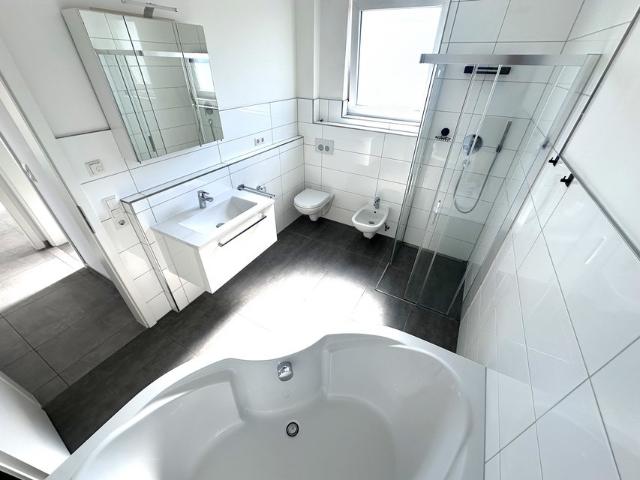 Stunning pet friendly PENTHOUSE Apartment near Panzer