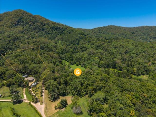 Stunning rainforest views