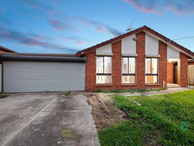 Stunning Renovated Family Home