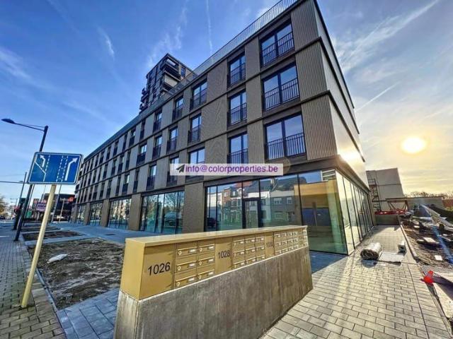 Stunning, recently built 1B flat with terrace/pkg– Evere