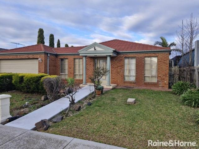 Stunning Rooming House in Sydenham