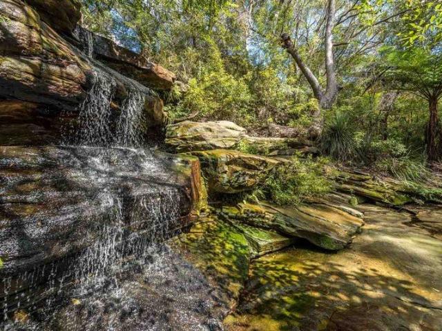 Stunning serviced apartment with breathtaking waterfall and tranquil treescape views