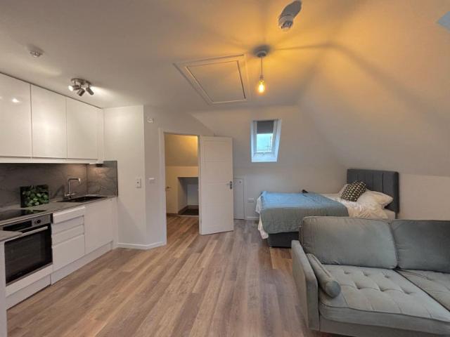 Stunning Spacious Studio Coming Soon