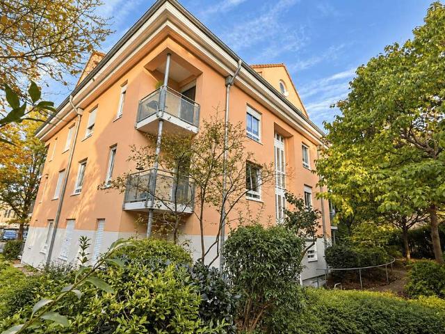 Stylisches Business Apartment, komplett NEU! Ruhig gelegene Parkvilla nahe der Dresdner Elbauen!