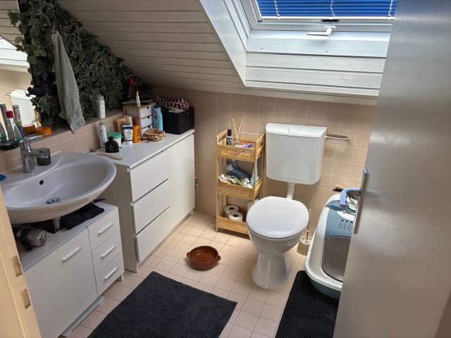 Stylish maisonette apartment in Mainz Hechtsheim, Mainz Amsterdam Apartments for Rent