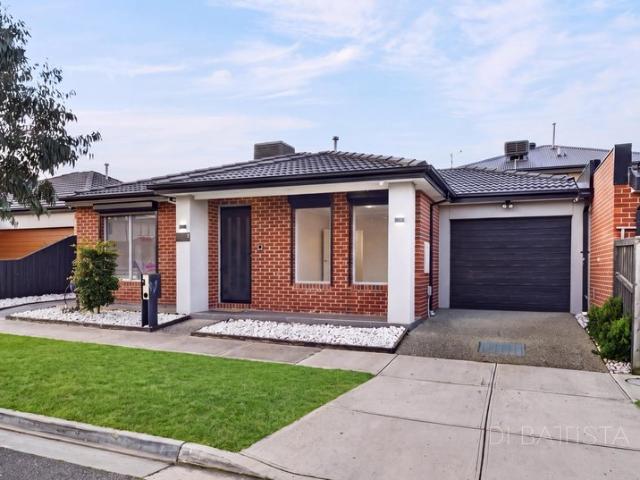 Stylish, Modern & Effortlessly Low Maintenance
