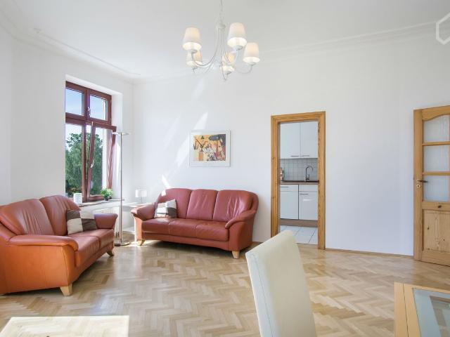 Stylish old buliding with stucco and herringbone parquet completely new furnished, Leipzig Amsterdam Apartments for Rent