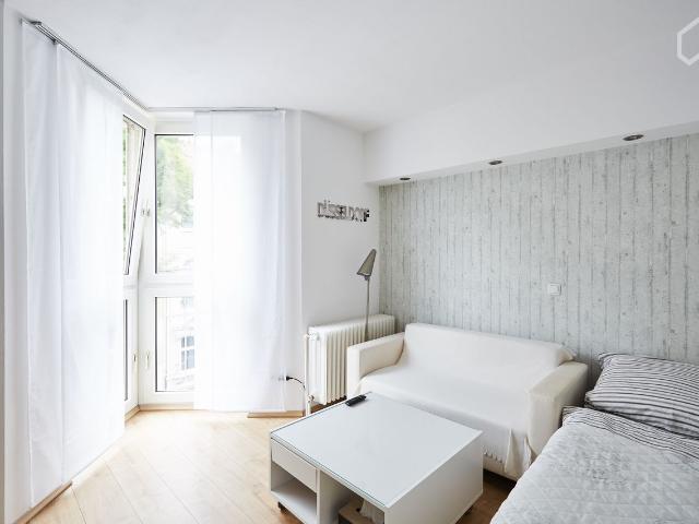 Stylish and comfortable apartment MedienHafen, Dusseldorf Amsterdam Apartments for Rent