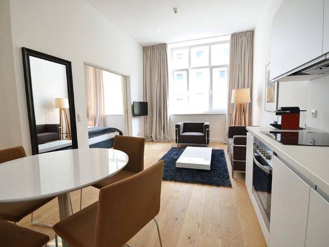 Stylish and completely furnished 35 sqm serviced apartment in Frankfurt near White Tower