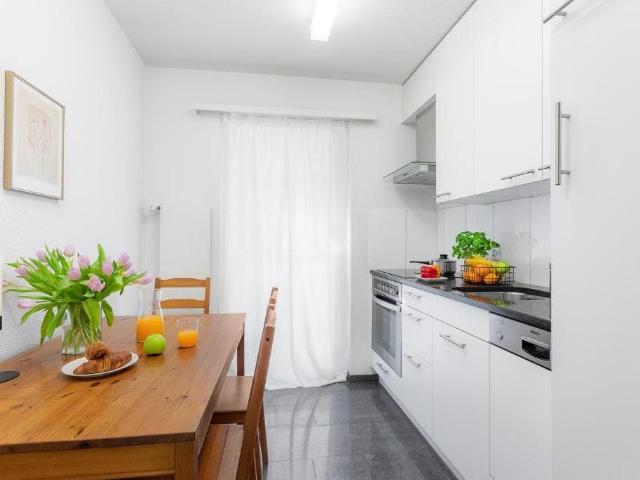Stylish and Fully Furnished Apartment in Zurich's City Centre, Zurich Amsterdam Apartments for Rent