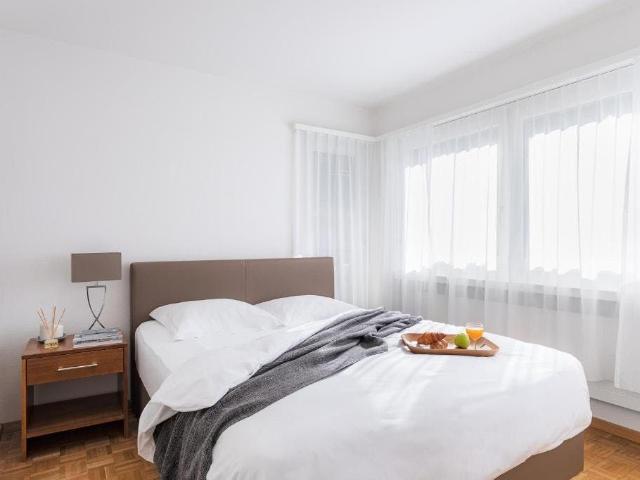 Stylish and Fully Furnished Apartment in Zurich's City Centre, Zurich Amsterdam Apartments for Rent