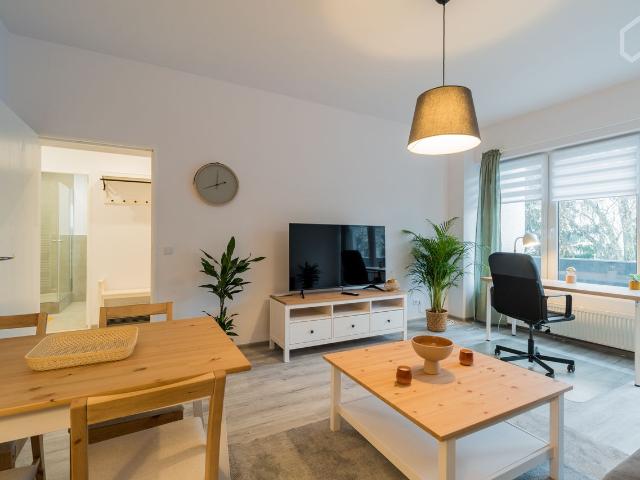 Stylish and newly renovated apartment in Reinickendorf, Berlin Amsterdam Apartments for Rent