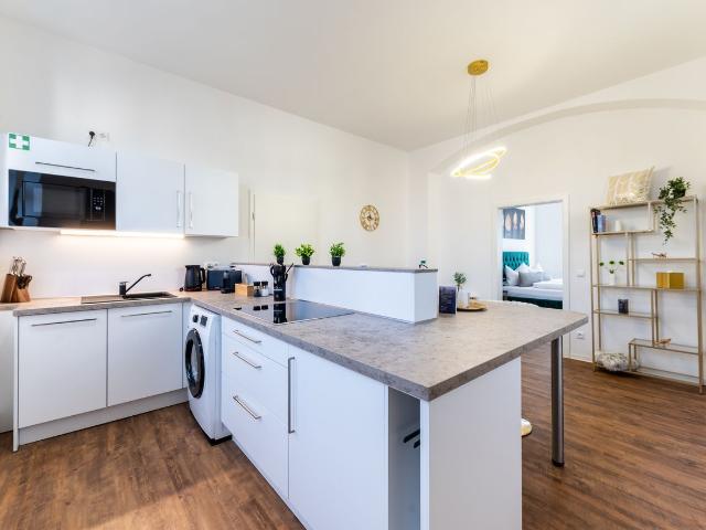 Stylish Apartment for 2 Near Elbe Renovated, Dresden Amsterdam Apartments for Rent