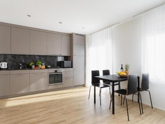 Stylish Apartment in the Heart of Zurich, Zurich Amsterdam Apartments for Rent