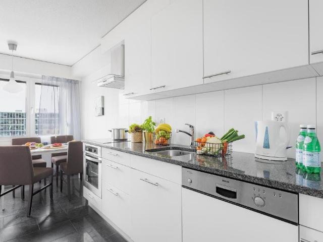 Stylish Apartment in Zurich Oerlikon – Fully Furnished & Well Connected, Zurich Amsterdam Apartments for Rent