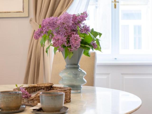 Stylish apartment in a central location, Vienna Amsterdam Apartments for Rent