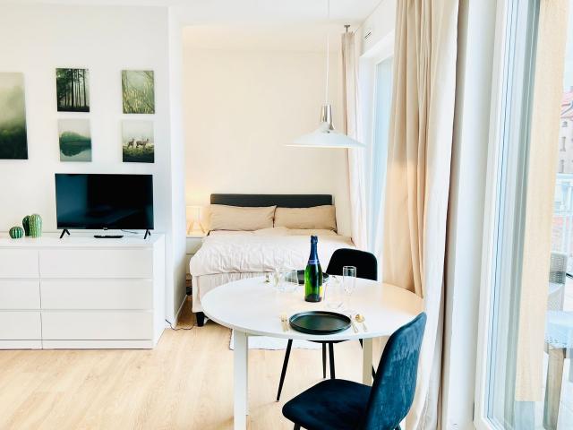 Stylish, centrally located business apartment—all inclusive and fully furnished, with private rooftop terrace—ideal for project staff/expats, Nurnberg Amsterdam Apartments for Rent