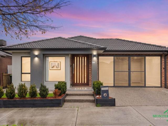 Stylish Comfort with Flexible Living in a Convenient Mickleham Location | Two Living Areas