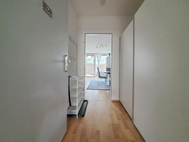 Stylish Design Apartment with 35 sqm Terrace & exclusive Sauna Highlight in Vienna Floridsdorf, Vienna Amsterdam Apartments for Rent