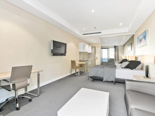 stylish fully funrnished apartment